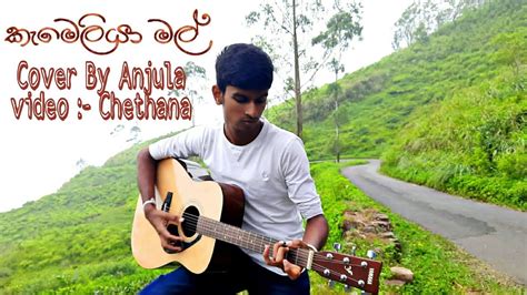 Kameliya Mal කැමේලියා මල් Kithsiri Jayasekara කිත්සිරි ජයසේකර Cover By Anjula අන්ජු ♥️🌩️