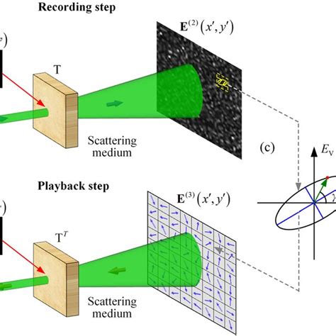 Principle Of Polarization Modulation Based Generalized DOPC A In The