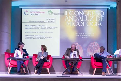 Ii Congreso Andaluz De Micolog A C Diz Clausura Y Conclusiones