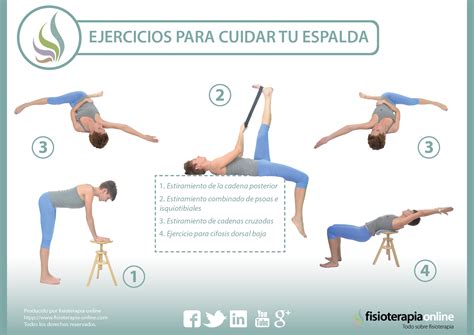 Te presentamos unos útiles ejercicios para cuidar tu espalda pruébalos