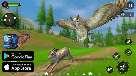 Wild Owl Bird Simulator Game Early Acces Gameplay For Android And