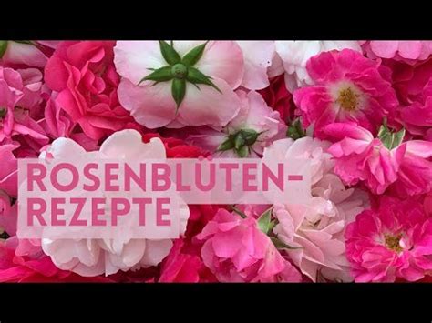 Ideen Um Rosenbl Ten Direkt Aus Dem Garten Zu Verarbeiten Rosen