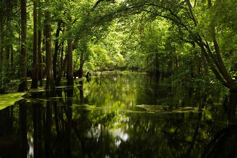 The Top 10 State Parks In North Carolina