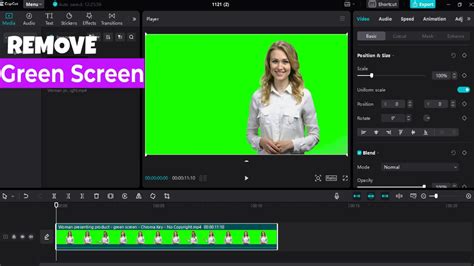 How To Remove Green Screen In Capcut Pc Youtube