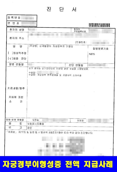 자궁경부이형성증 제자리암종상피내암 암진단비 손해사정 지급완료 네이버 블로그