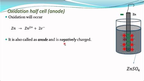 Oxidation Half Cellanodenegative Electrodeelectrochemistry Part 7