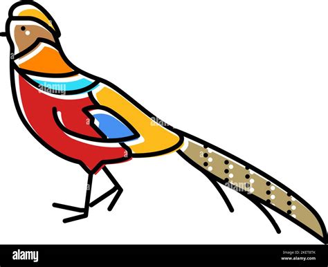 Yellow Golden Pheasant Stock Vector Images Alamy