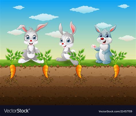 Three rabbits cartoon in carrot garden Royalty Free Vector