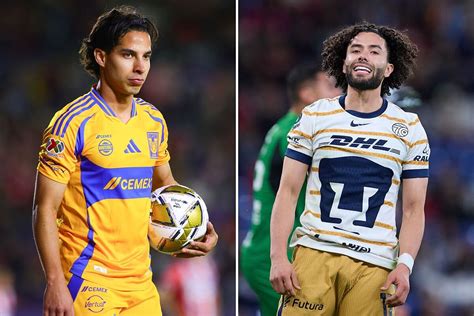 Liga MX 2024 Tigres En El Futbol De Estufa Liga MX Clausura 2025