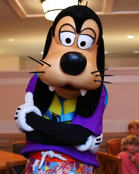 Pin By Rea King On Goofy Goofy Disney Disney Characters Costumes