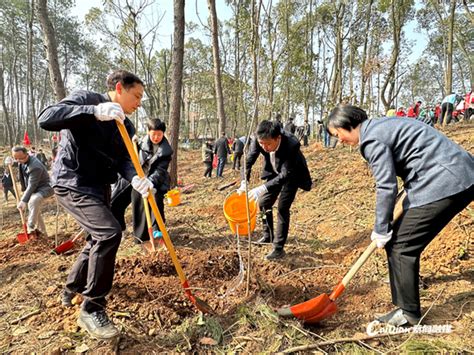 蔡甸：同植廉洁树，共筑清风林 武汉文明网