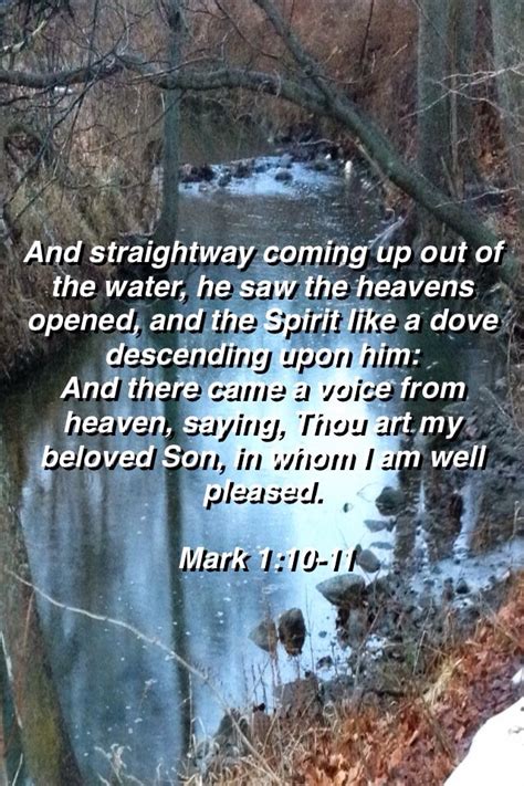 Mark 110 And Straightway Coming Up Out Of The Water He Saw The