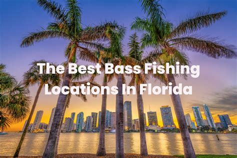 The Best Bass Fishing Locations In Florida - FishingVista