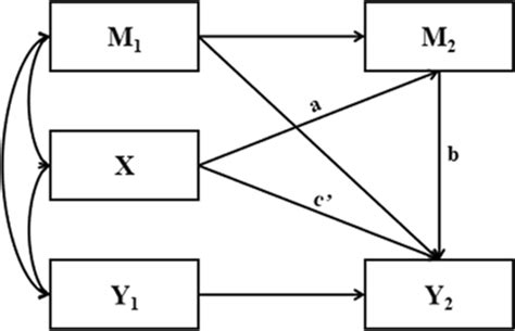 The Half Longitudinal Mediation Model Study X Refers To T Trait