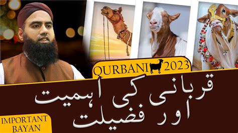 Qurbani Ki Fazilat Qurbani Ki Aehmiyat Qurbani 2023 Eid Ul Adha 2023 Bakra Eid 2023