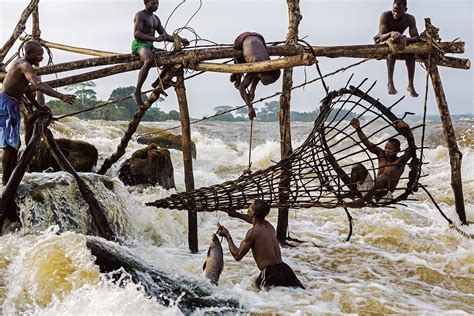 70 Fotos De Congo