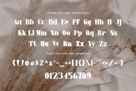 Elegant Classy Serif Font Font Kong