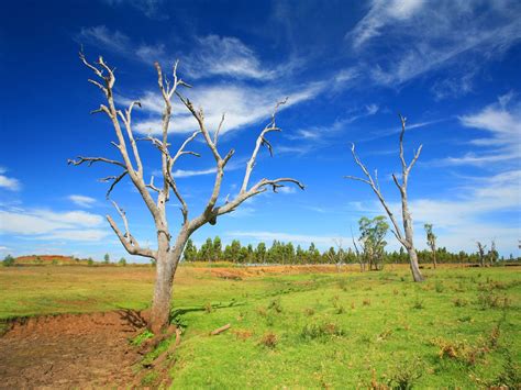 Cherbourg - Destination Information - Queensland