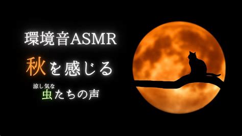 環境音ASMR早めの秋を感じる虫たちの声 睡眠導入TASCAM DR 07X YouTube