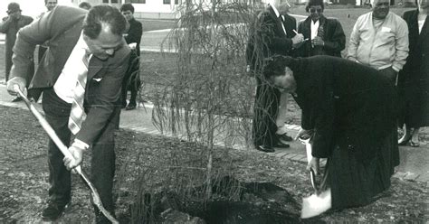 Auckland Campus celebrates 30th birthday - Massey University