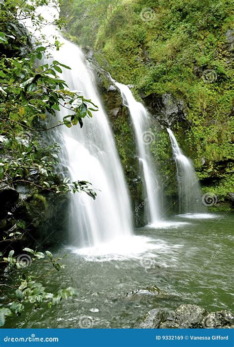 Maui Waterfall stock image. Image of awesome, rainforest - 9332169