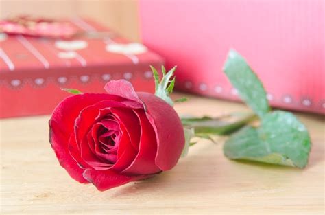 Premium Photo | Red roses for Valentine's Day.