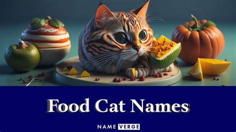 Food Cat Names: 440+ Funny & Yummy Food Names For Cats