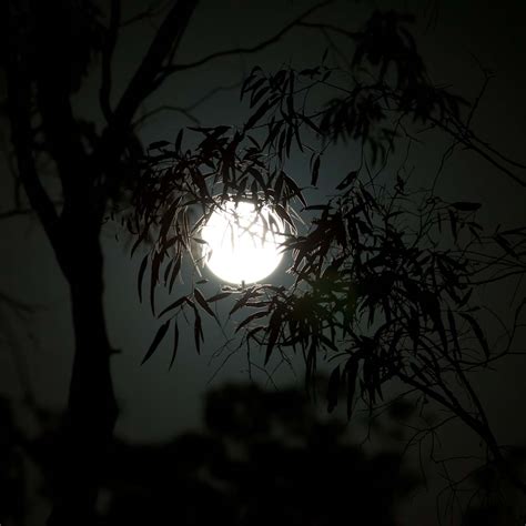 Photographs of the moon by Brad Baker Photography