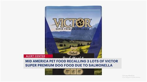 Recall Alert: Dog food voluntarily recalled due to possible salmonella ...