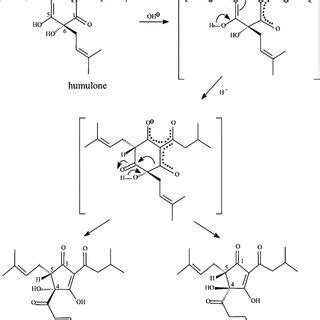 Detail reaction mechanism of the α‐acids isomerization into ...