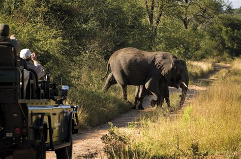 Lion Sands River Lodge - Safari Africa