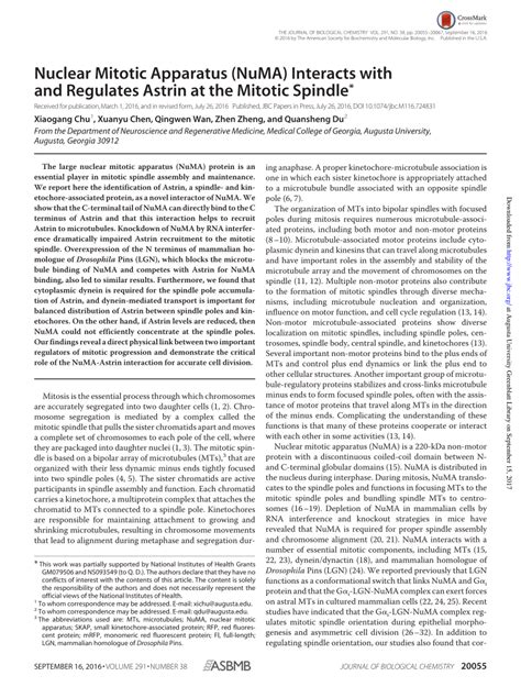 Pdf Numa Interacts With And Regulates Astrin At The Mitotic Spindle