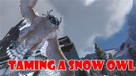 Snow Owl Taming Episode 63 Ark Solo Series Youtube