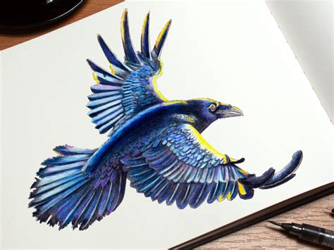 Raven in Flight by Rolling Rook Studio on Dribbble