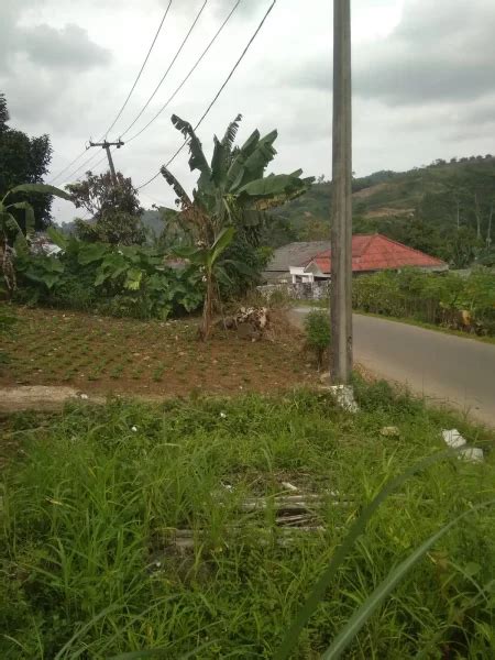 Dijual Tanah Dekat Jungle Land Sentul Arah Wisata Curug Tanah Dijual