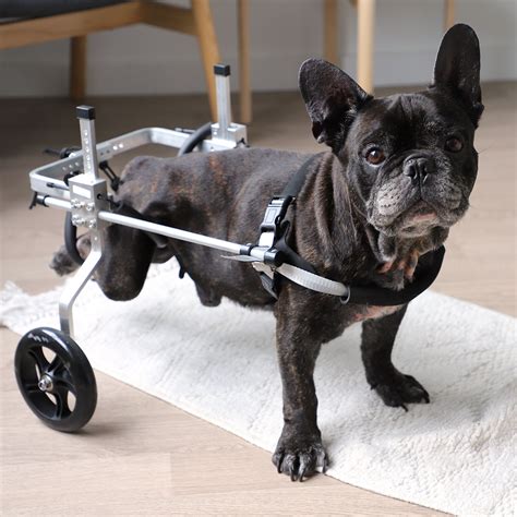 Chariot Pour Chien Handicap Pattes Arri Res Zolia Orthopedic