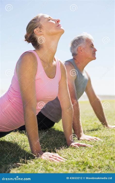 Fit Mature Couple Warming Up On The Grass Stock Photo Image Of