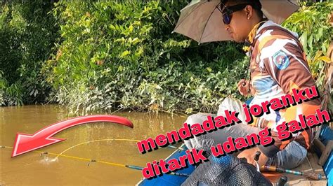 Mancing Udang Galah Di Sungai Kapuas Joranku Mendadak Di Tarik Udang