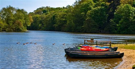 Things to Do in the Broads National Park - North Norfolk