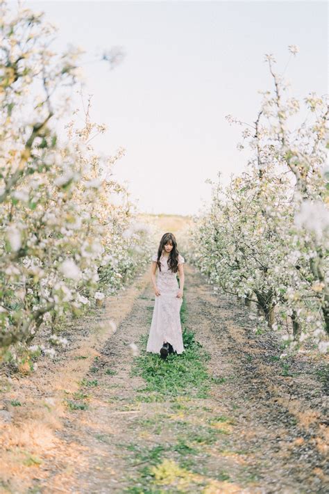 Wedding Orchard Photos, Download The BEST Free Wedding Orchard Stock Photos & HD Images