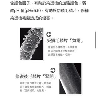 髮基因 雙效護髮冰鎮護理素枯黃毛燥易斷裂分叉頭髮的日常護髮 500ml 蝦皮購物