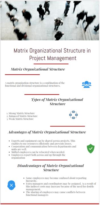 Matrix Organizational Structure in Project Management - projectcubicle