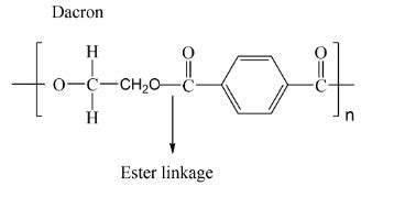 Ester Bond