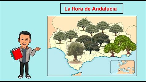 La Flora De Andaluc A Youtube