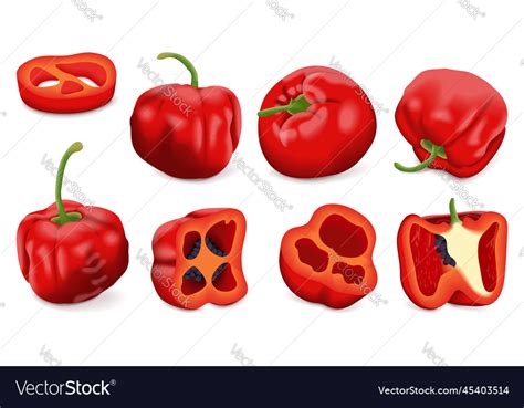 Set Of Rocoto Peppers Royalty Free Vector Image