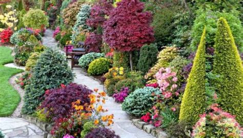 Деревья и кустарники для создания ландшафта вашего загородного участка.