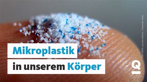 Mikroplastik überall Und jetzt Das Update Quarks Daily Spezial