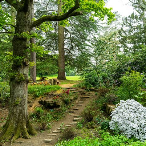 Woodland Walk In The Grounds Hever Castle May 2022 Bob Jenkin Flickr