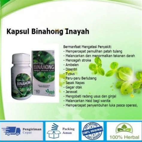 Jual Daun Binahong Kapsul Wasir Penyembuh Luka Inayah Shopee Indonesia