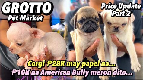 Grotto Pet Market Part 2 February 19 2023 San Jose Del Monte